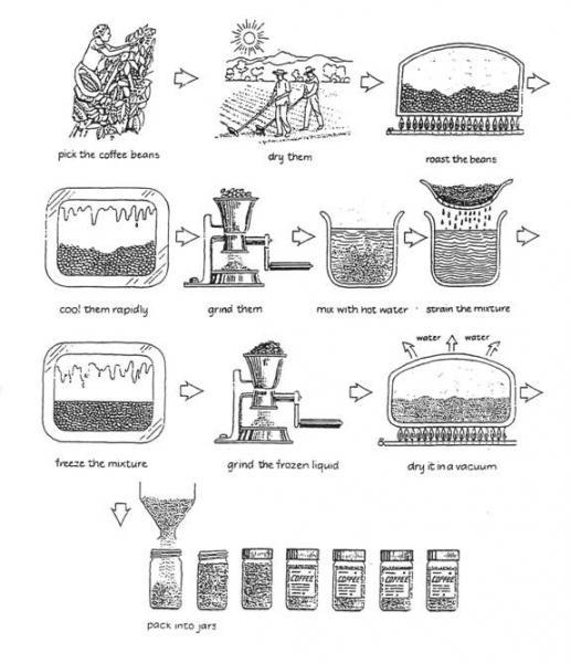 The diagram below shows how coffee is produced and prepared for sale in